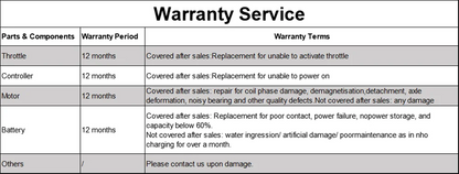 LP60 Electric Scooter 350W 19mph  8.5inch tire 16miles