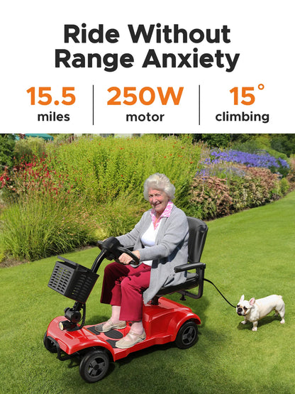 Four-Wheeled Electric Scooter, 250W, 24V 12AH, 6.2MPH Max Speed, 15.5 Miles Range