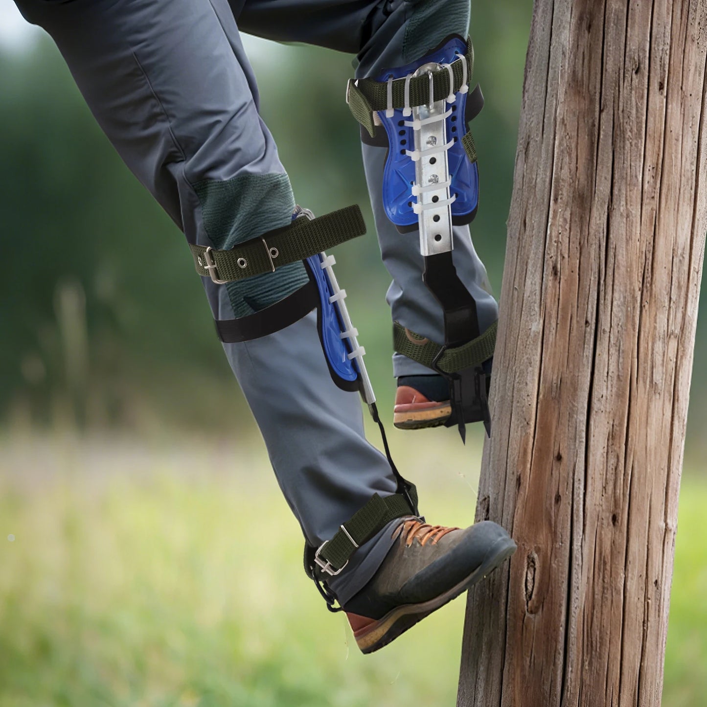 Tree Climbing Spikes w/safety belt for Non-Slip